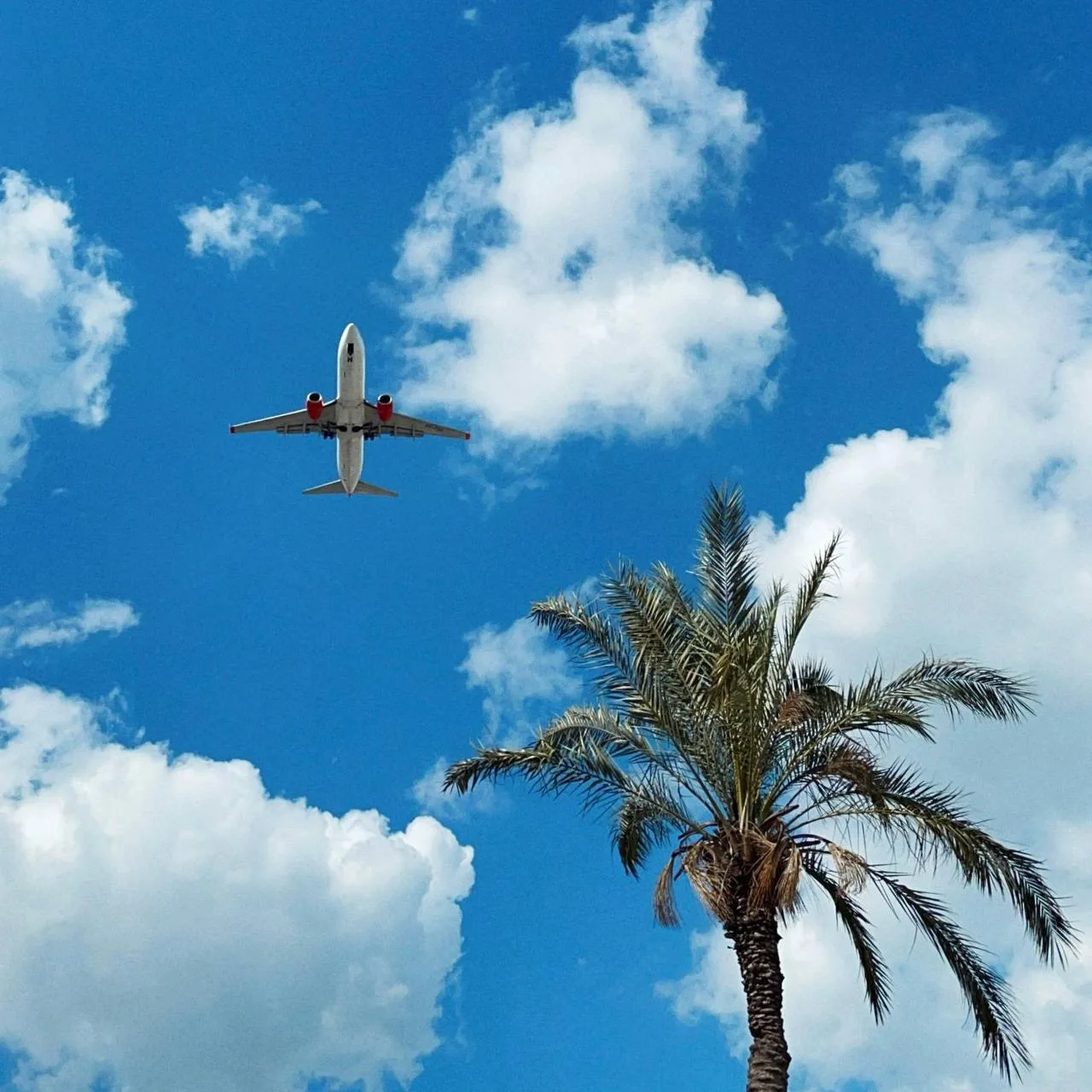 ✈️ Новинка от Аэрофлота