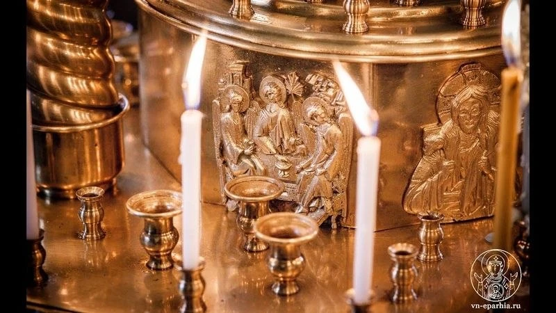 🕊⚜🕊⚜🕊⚜🕊⚜🕊