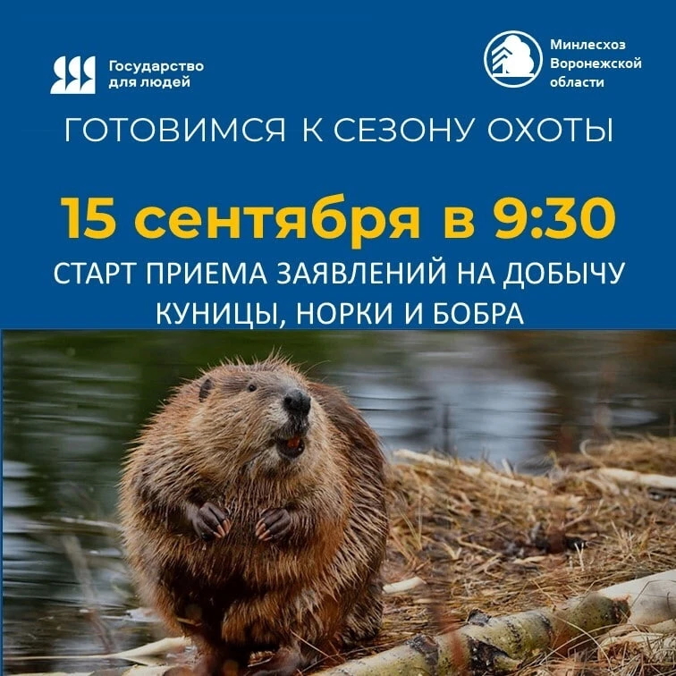 Подробности.