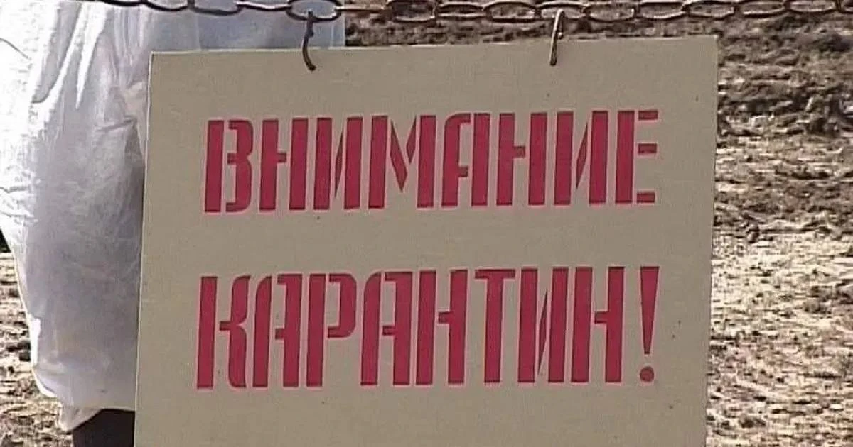 ⚡️В Подмосковье ввели карантин по бешенству, — СМИ.