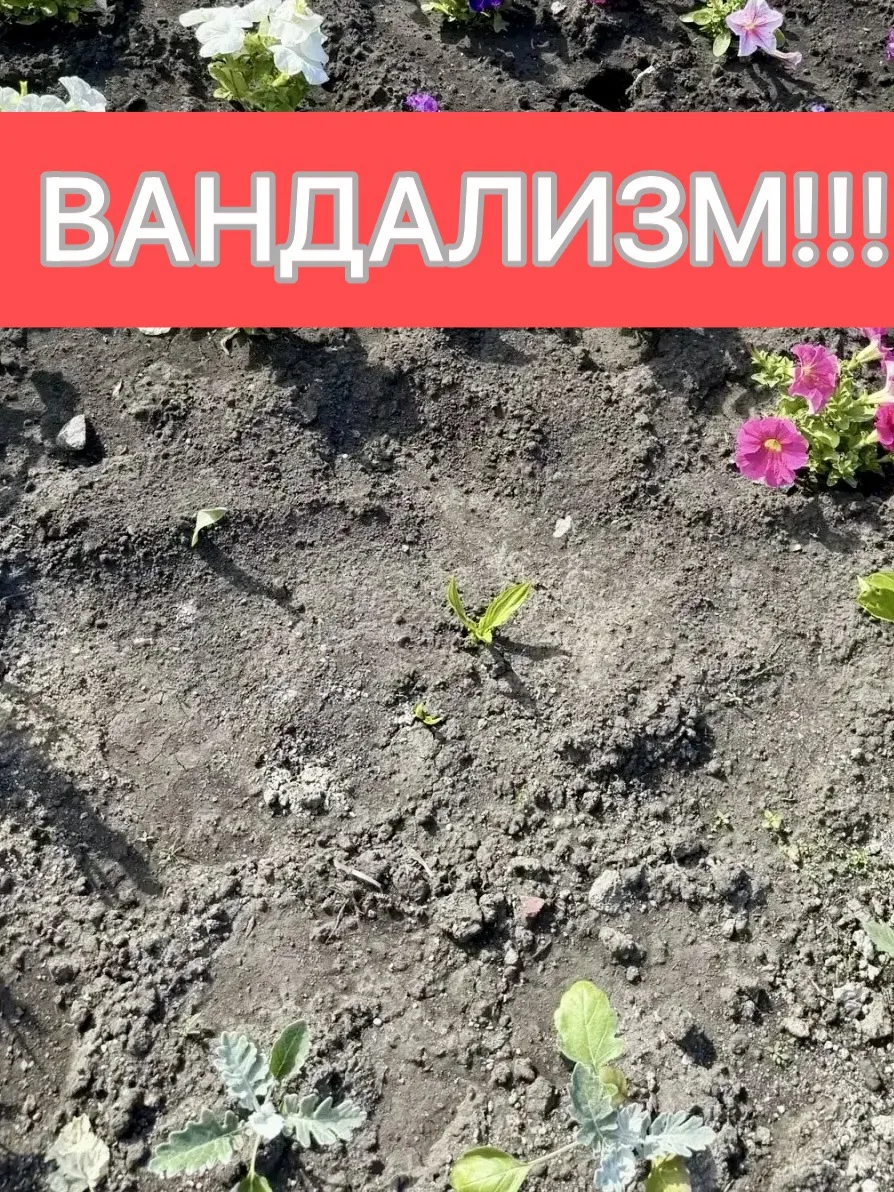 Уважаемые полысаевцы!

☝️Всего неделю назад мы рассказывали вам о том, как специалисты по благоустро