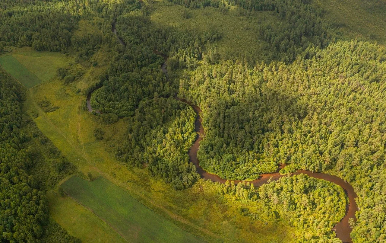 Национальный парк Чикой 🌳