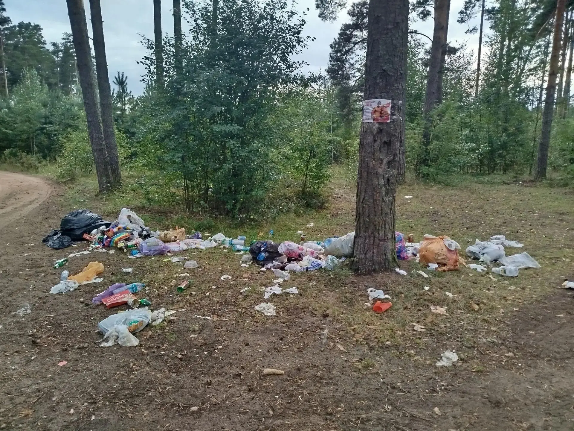 Сотрудники Минприроды Тверской области приняли участие в экоуборке на Константиновском ...