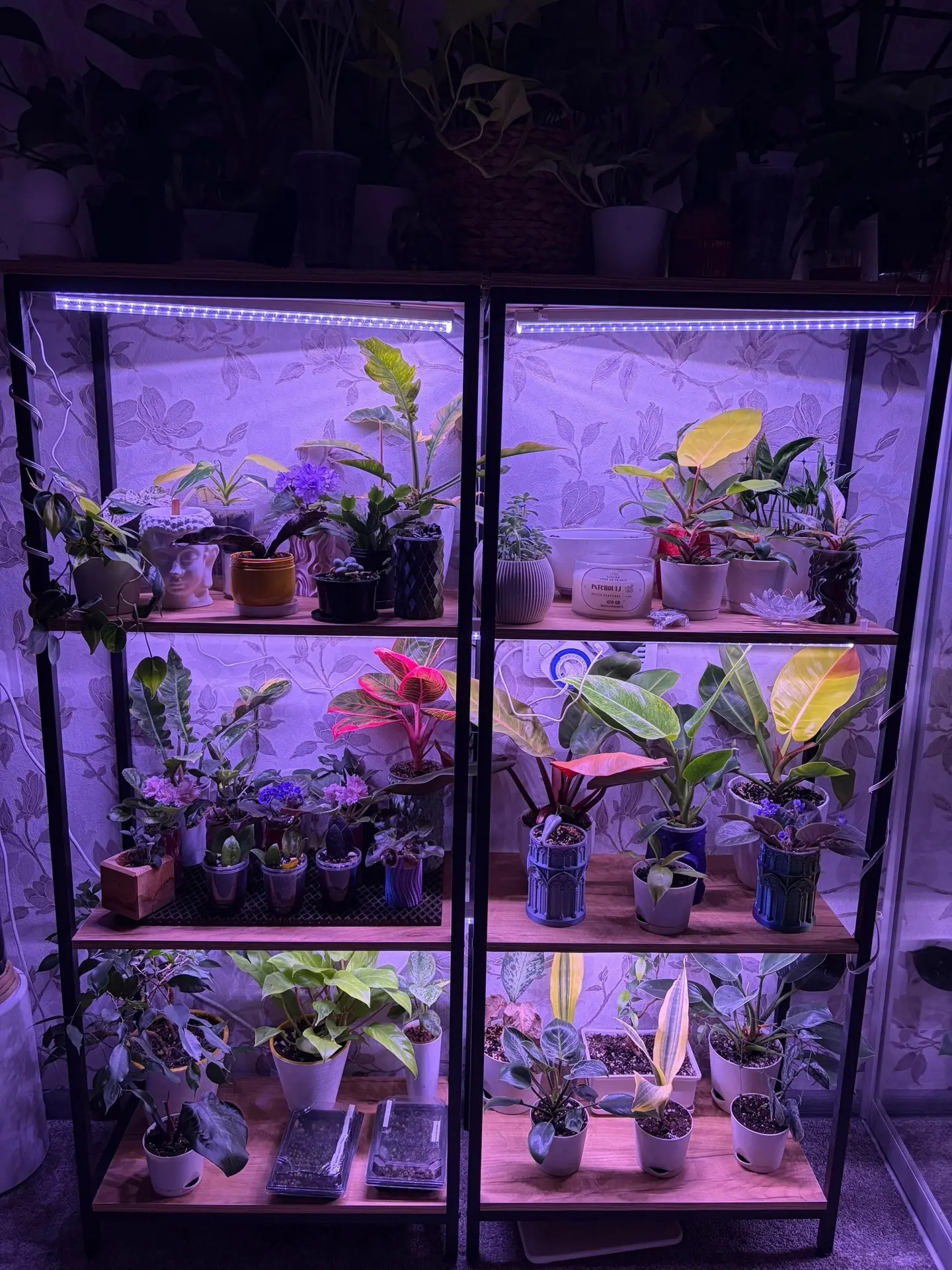 Коллекция природной красоты 😍