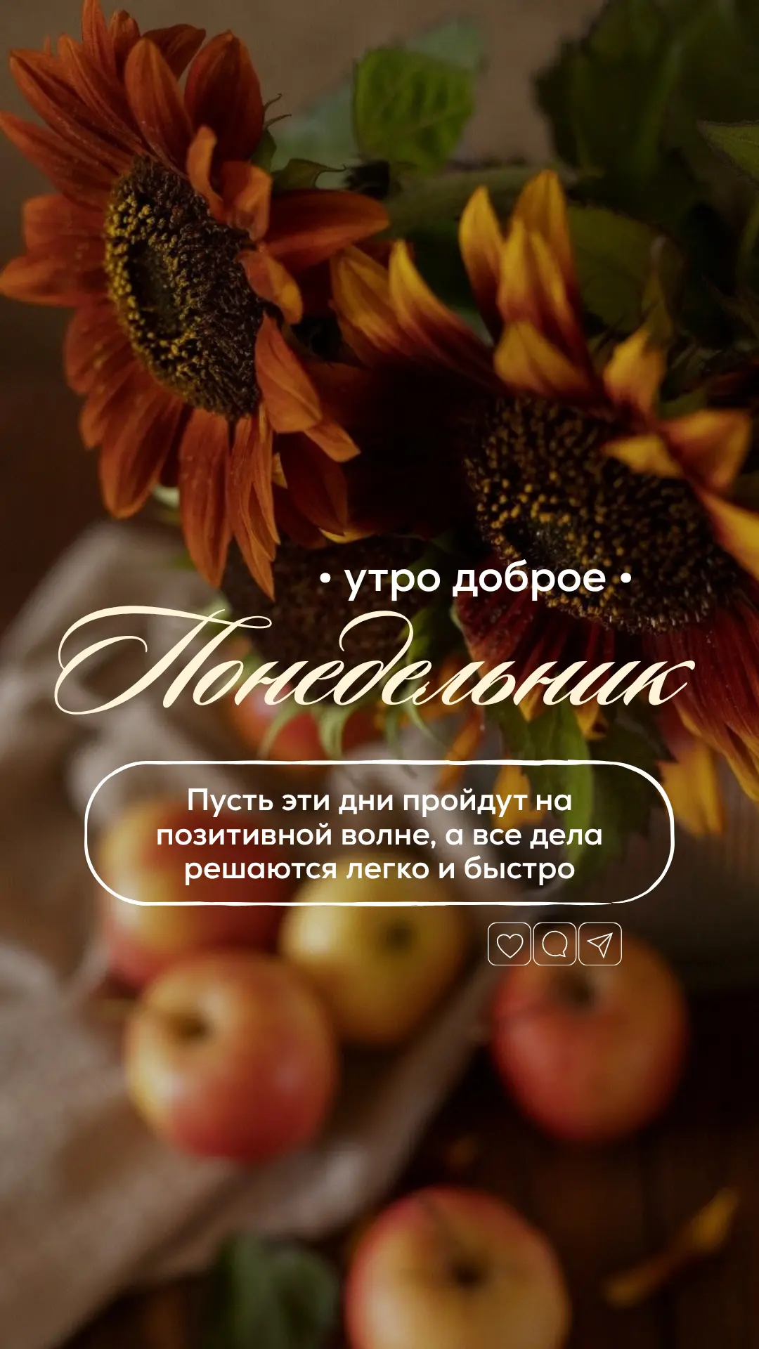 Наборчик стикеров на новую неделю 👩🏻‍💻