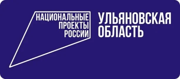 В  Ульяновской области действуют 40 региональных проектов в составе 11 национальных.