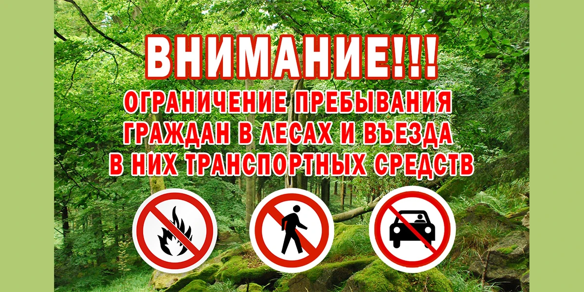 Внимание! В лесах Башкортостана вводится ограничение на посещение и въезд транспорта с ...