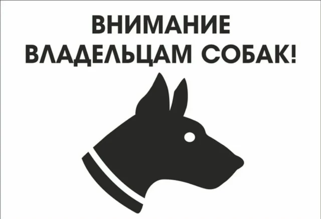 С началом нового учебного года родители младших школьников выражают обеспокоенность по ...