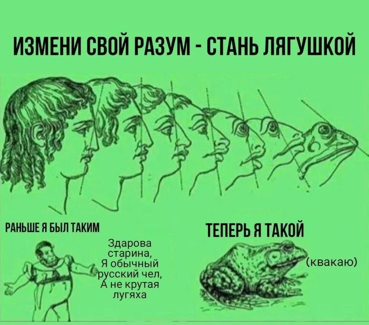 любим лягушек и жабок