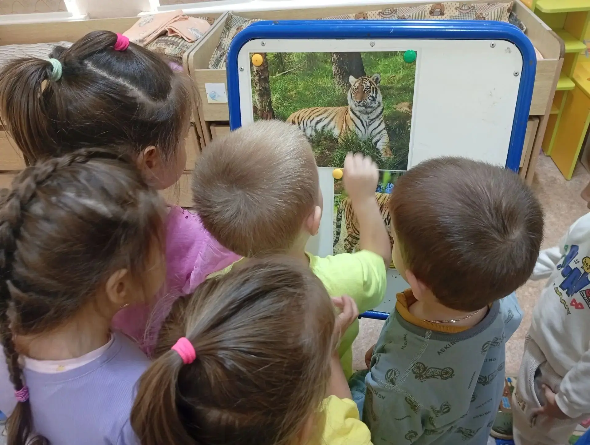 🐯 Тигрррр! У нас прошла неделя «Всё про тигра»!