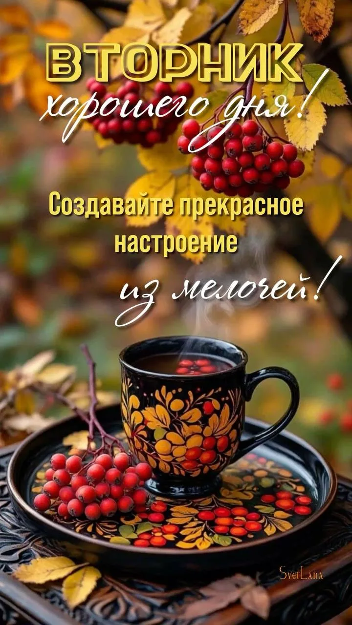 Поздравления на каждый день 🎁