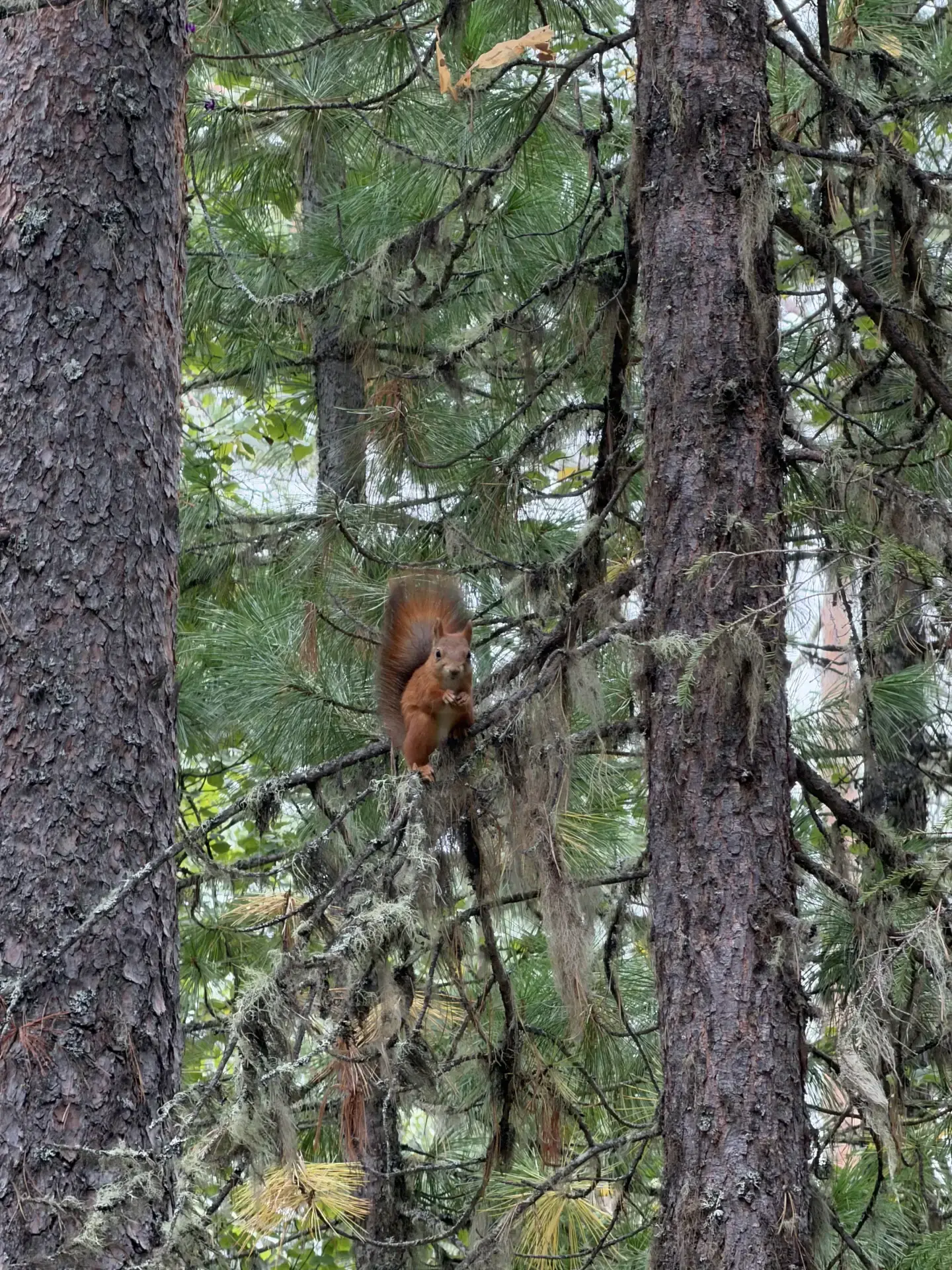 Субботник в парке «Югра» 🌲