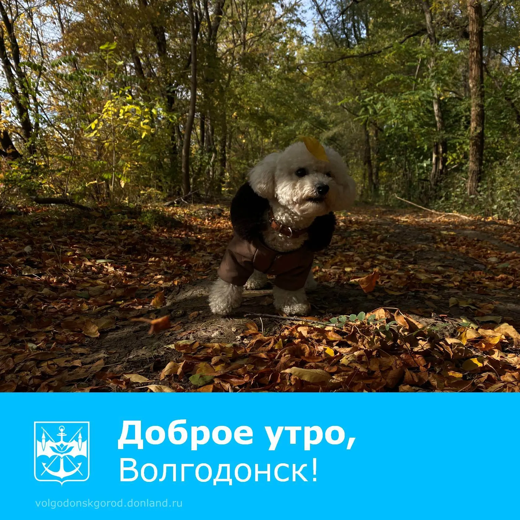 Доброе утро, любимый город!