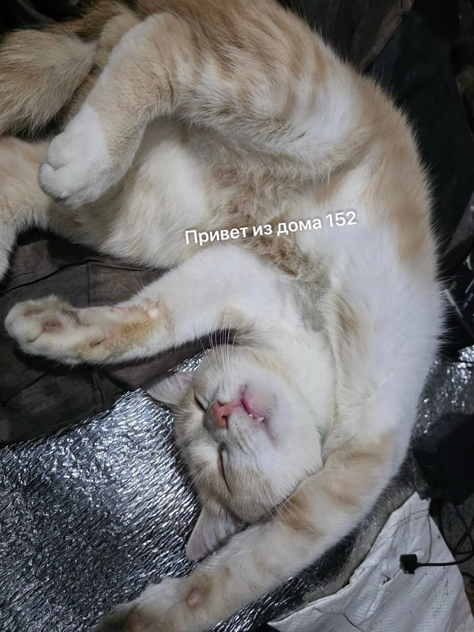 Всем хорошего вечера!😊