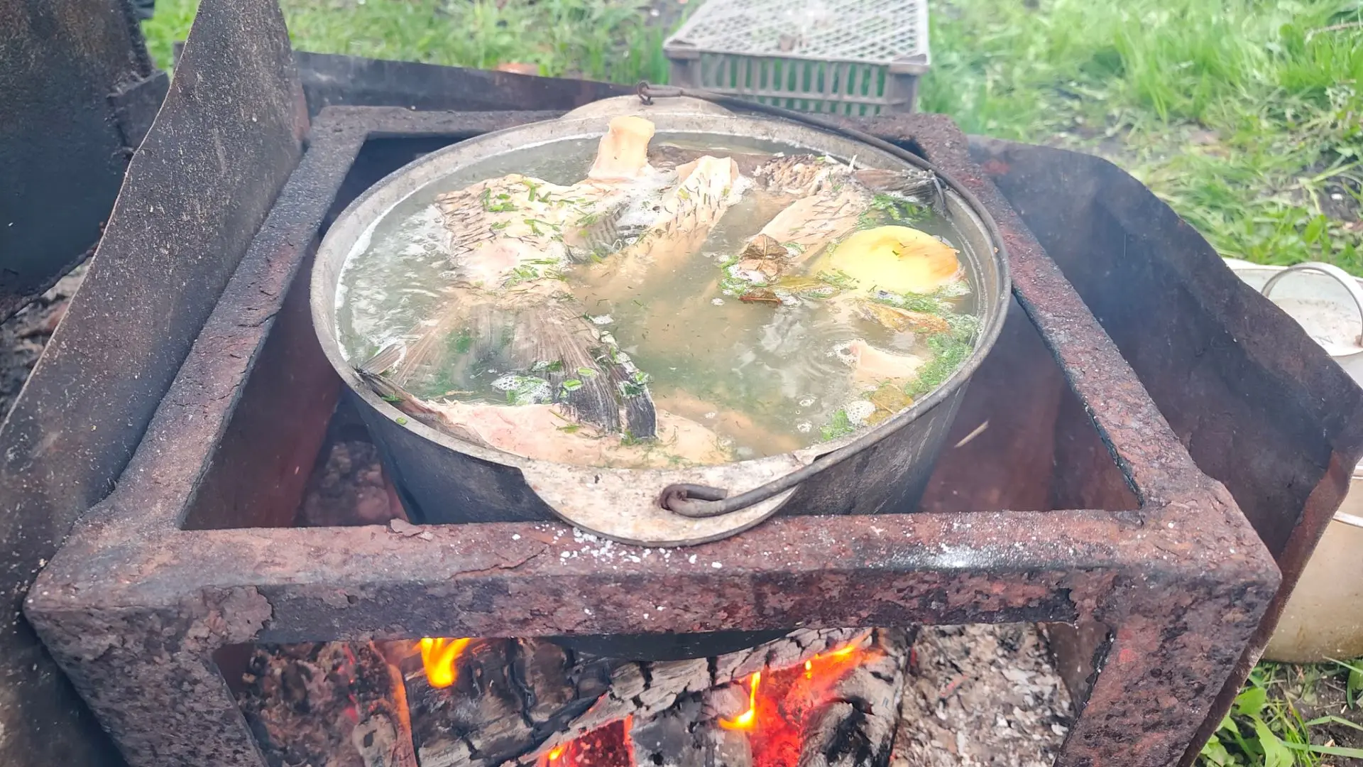 Уха из петуха. История из жизни. 
В общем, дело было так! День рождения мой, как сейчас помню - 25 а