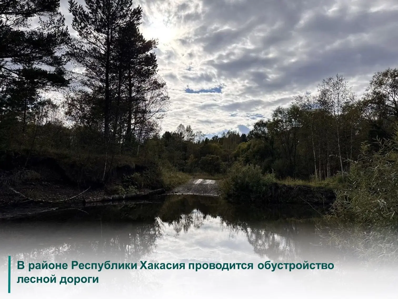 ✅В Таштыпском районе Хакасии началось обустройство лесной дороги, соединяющей реки Мату...