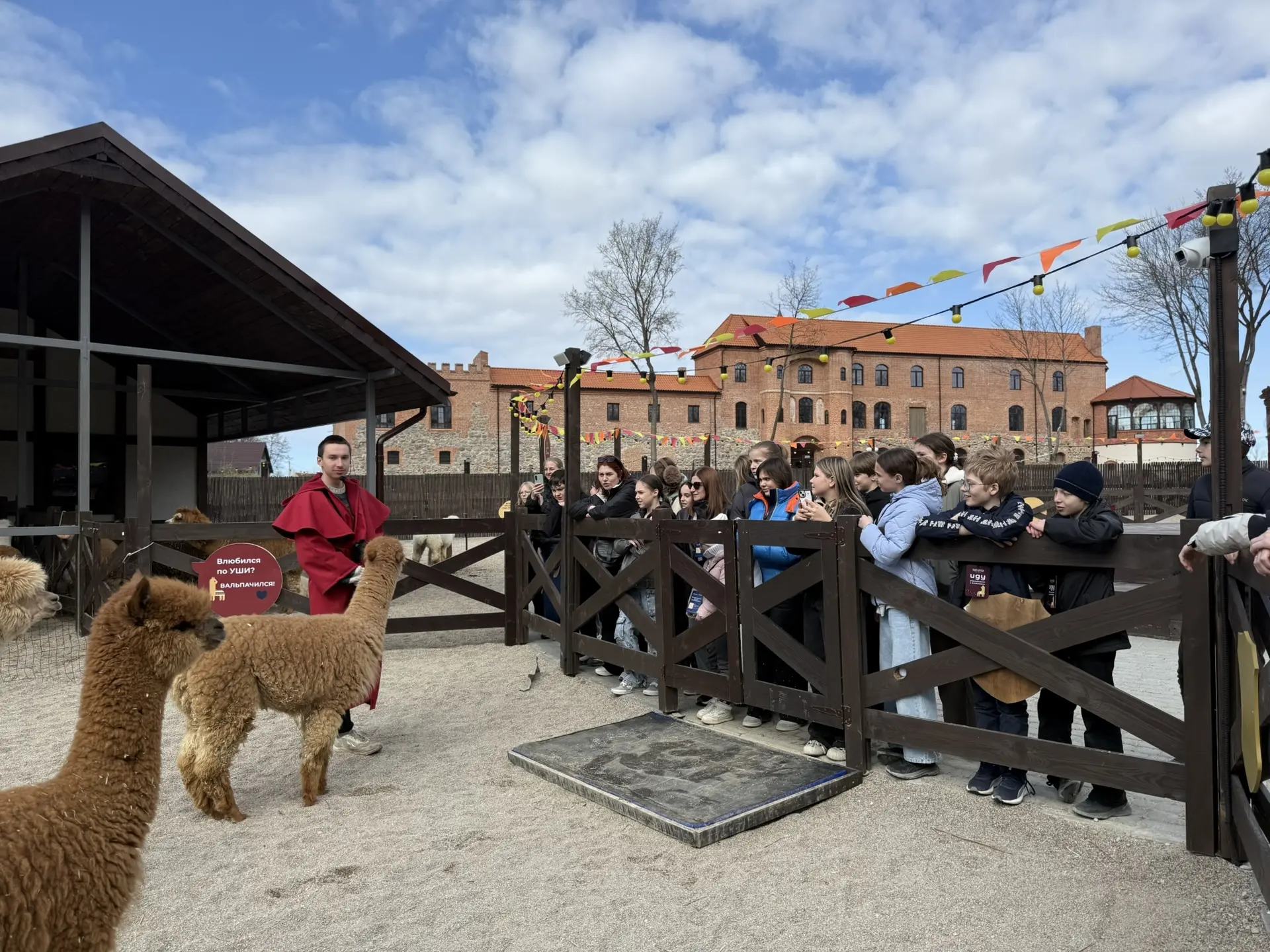 В гости к альпакам 🦙   Учащиеся 6В класса посетили парк альпак «Тиргартен», расположенный у стен зам