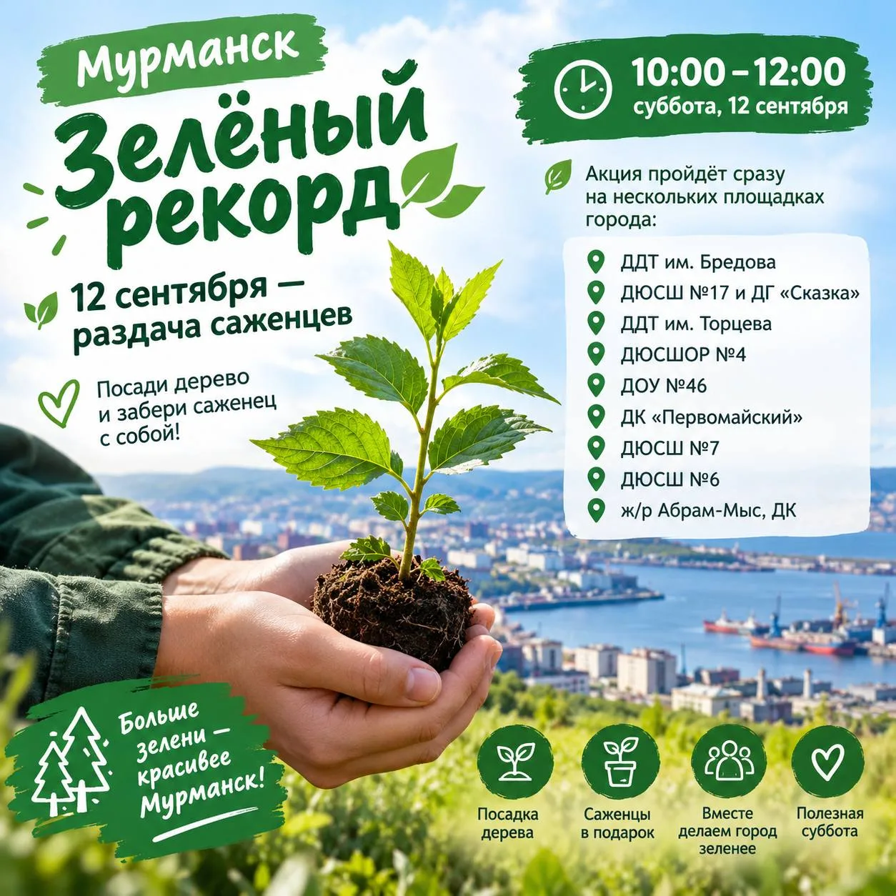 🌱 В Мурманске устроят «Зелёный рекорд» — 12 сентября будут раздавать саженцы