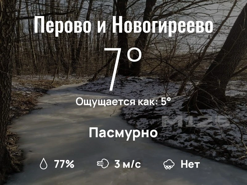 Что с погодой в Перово и Новогиреево?