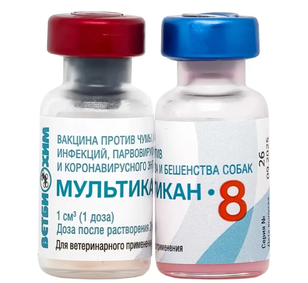 В России отзывают 60 тысяч доз вакцины для собак "Мультикан-8" 20-й серии после многочи...