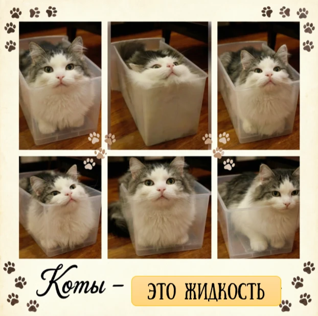 На улице жара, солнце, лето. За окном носятся стайки вопящих детей - это ужасно отвлекает от работы 