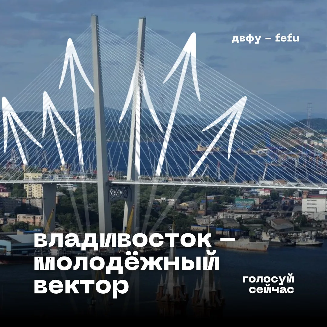 💙Поддержим представителей ДВФУ в конкурсе «Молодёжный вектор»!