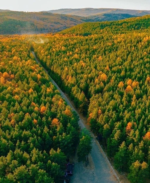 Молоковка.