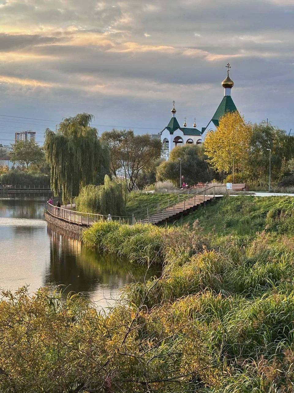Изумительная красота на Суздальском пруде в Новокосино