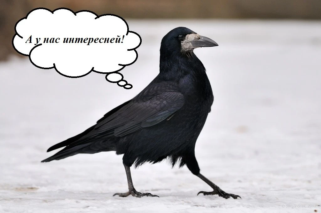 🌞Весна на крыльях грача!