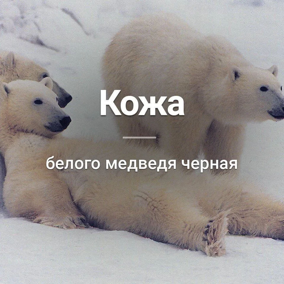 Признавайтесь, знали?