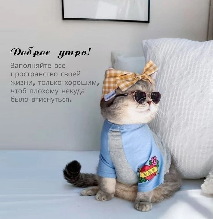 С добрым утром!

Канал «Чердак сознания»
Подпишись!