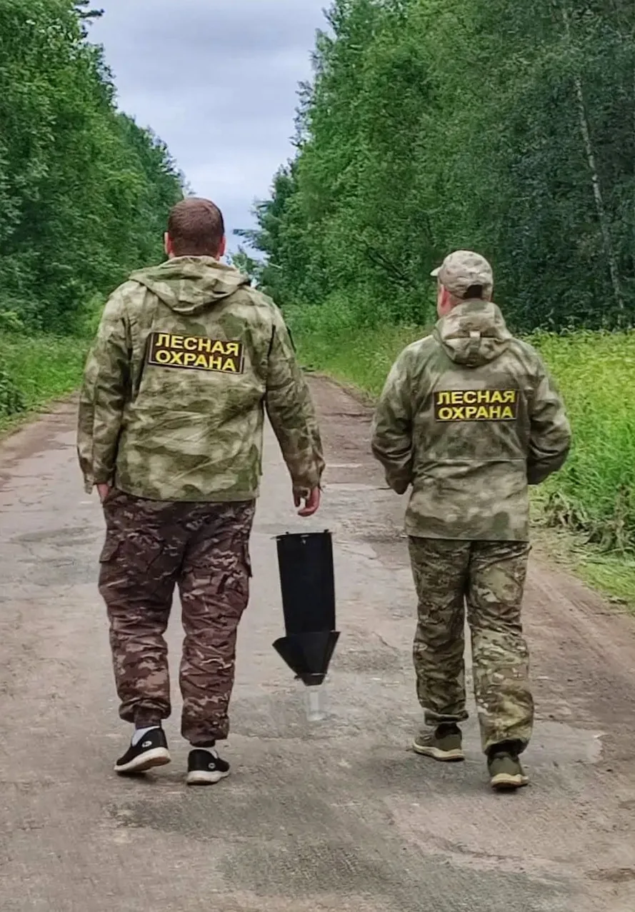 🌿Продолжаем рассказывать о ходе реализации программы «Чистые леса Ленинградской област...
