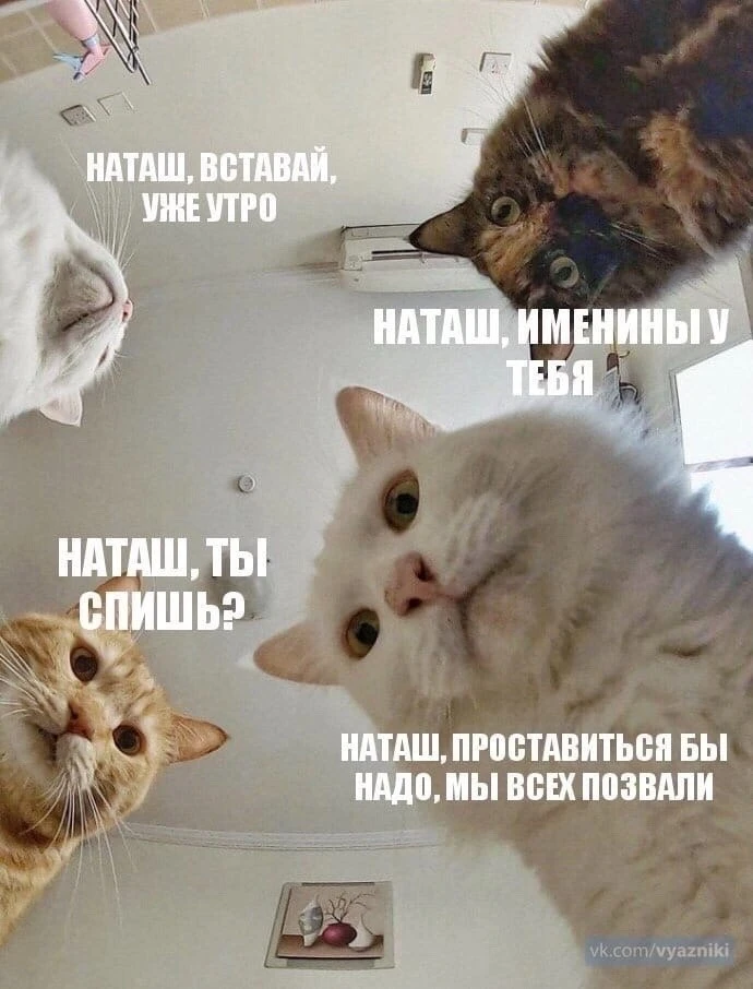 Дорогие Натальи, Наташи, Натуси, Натали, Наталки, Наташеньки, Натули! Поздравляем с име...