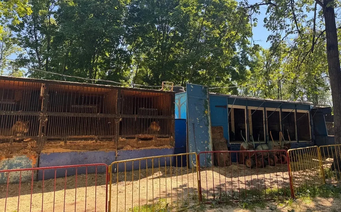 🦁Уголовное дело владельцев зоопарка «Саванна» в Уфе передали в суд

Прокуратура передала в суд угол