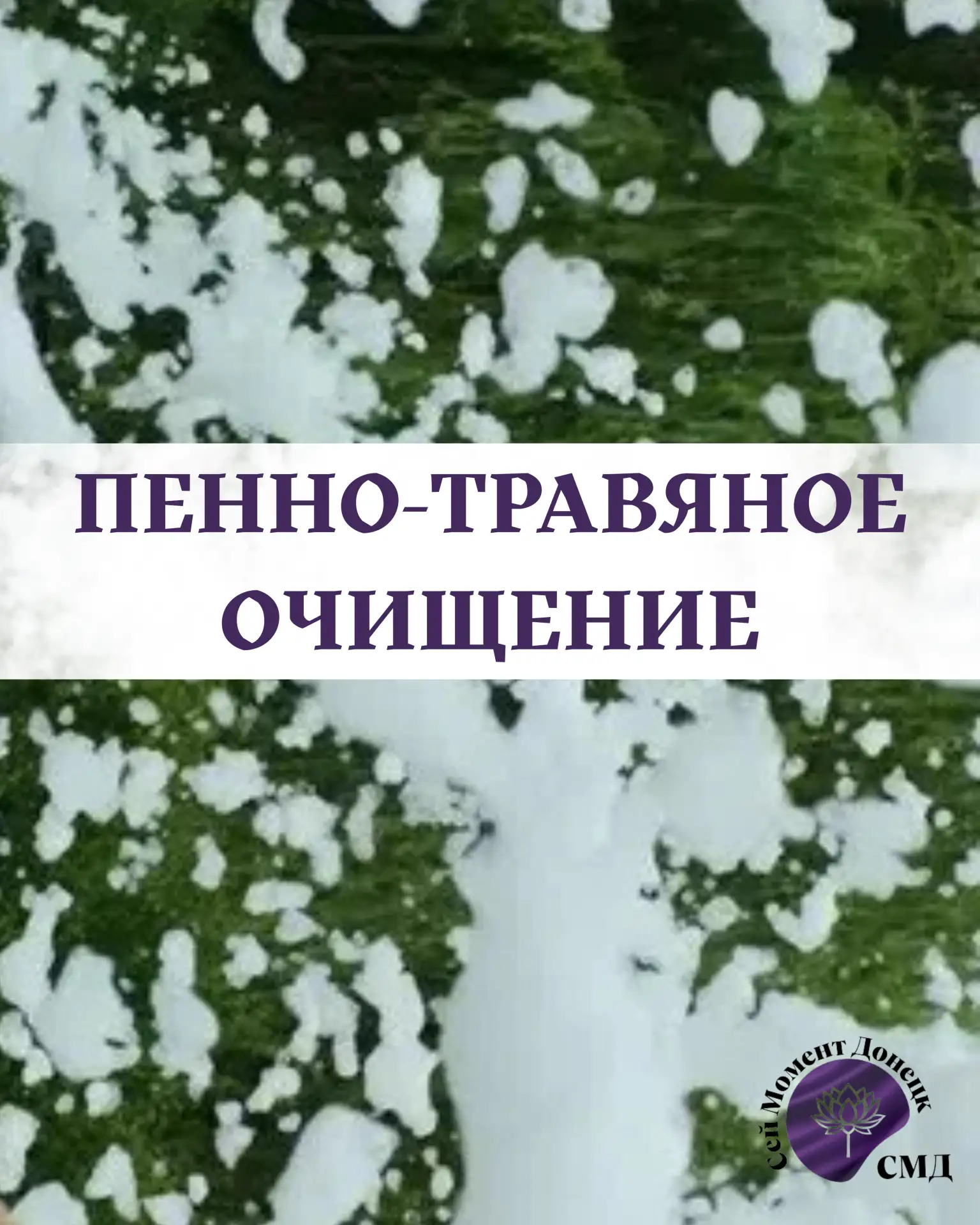 ✨ УТРЕННЕЕ ОЧИЩЕНИЕ: почему ваша кожа просит траву на завтрак?


👋 Всем привет!


❗Давайте честно: 