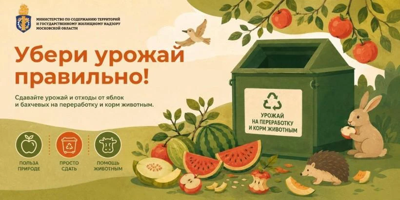 Кажется проблема с тем, куда девать кабачки, решена.