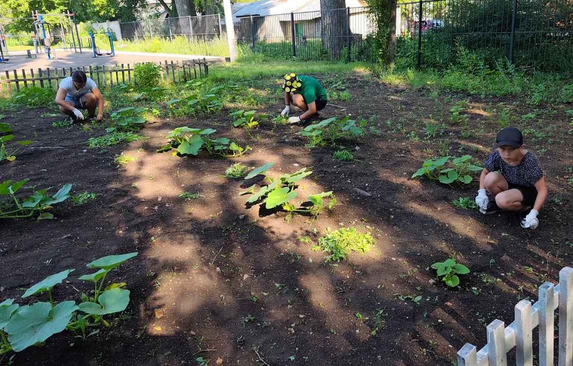 🌿☀️ Июль в самом разгаре, а наши ребята — в строю! ☀️🌿

Лето 2026 года набирает обороты, солнце пе