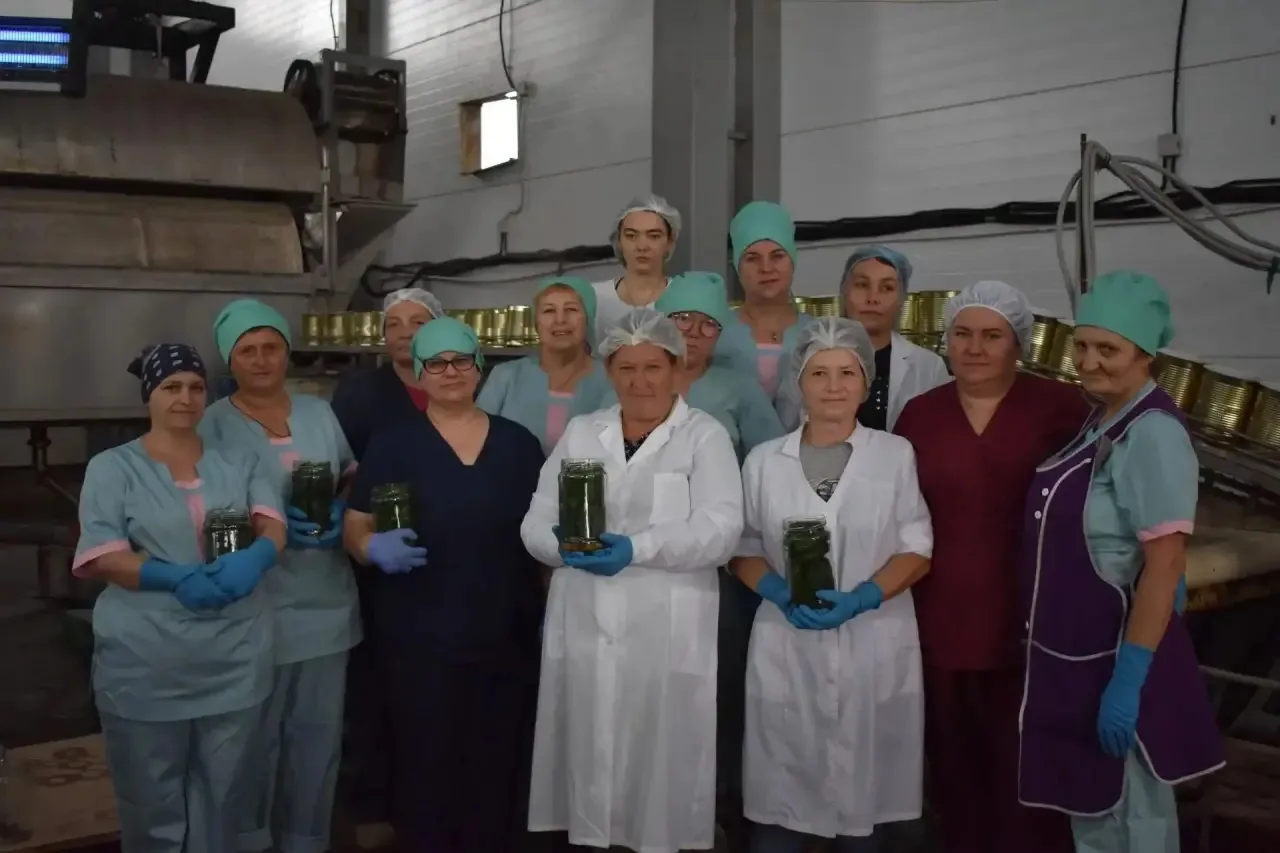 1,5 млн банок зеленого горошка закатали в х. Адагум