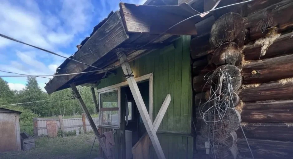 🐕 Соседи несколько лет воюют с квартирой, которая превратилась в собачий питомник