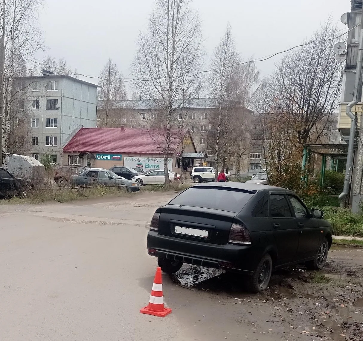 🚨 В Плесецке молодая женщина сбила старушку