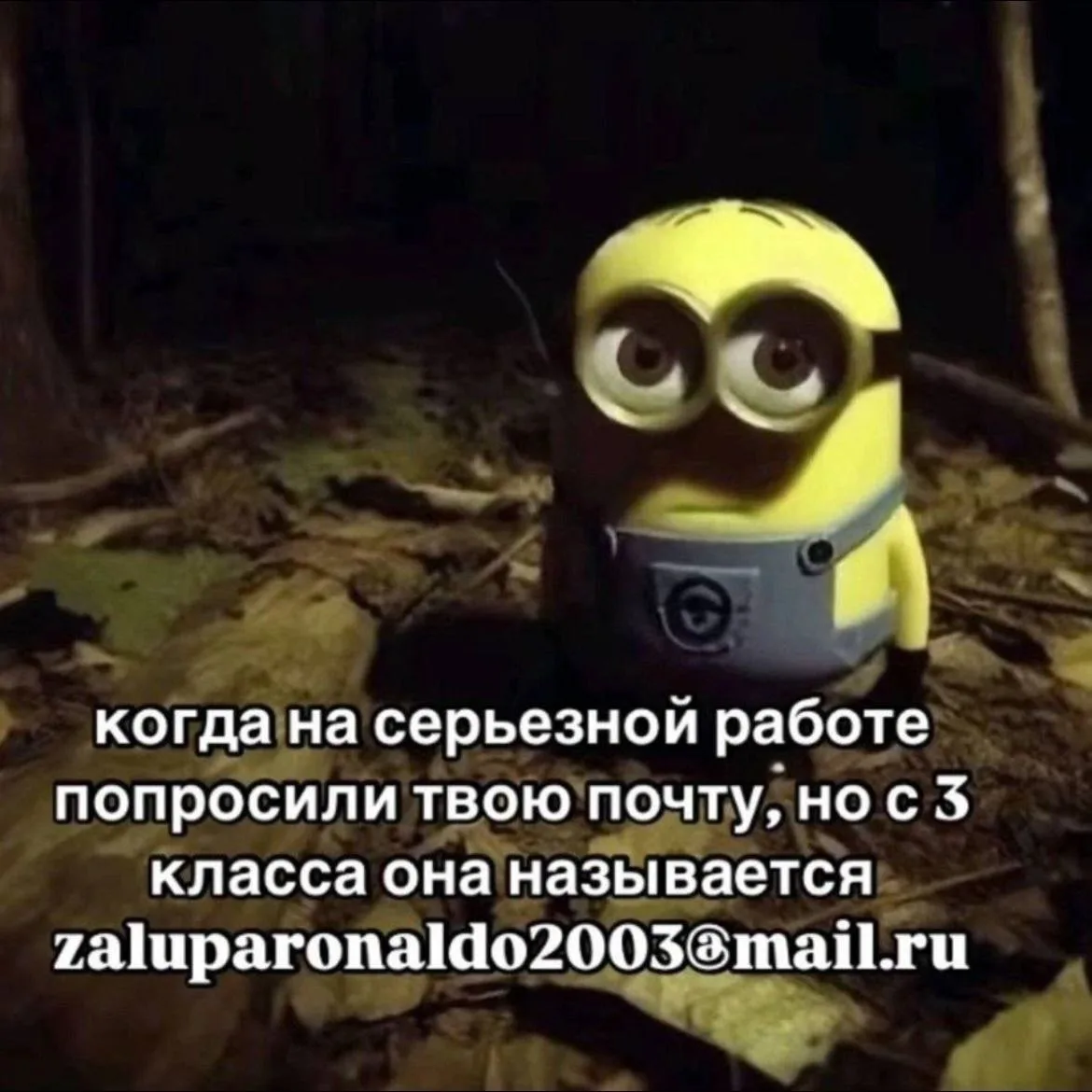 База 😁