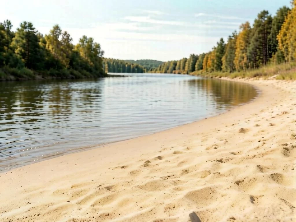 🧹🌳 Международная экологическая акция "Чистые берега Евразии" пройдет завтра в 15.00 н...