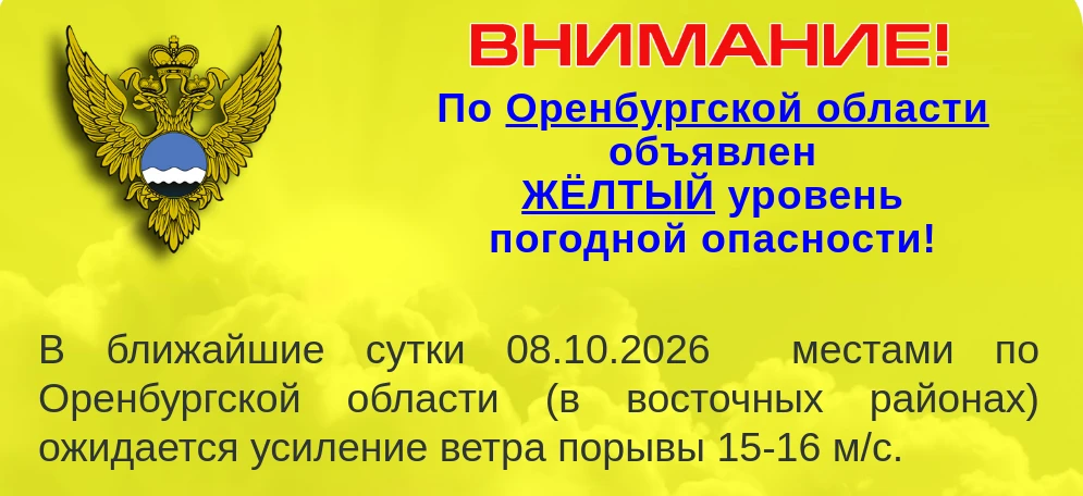 Синоптики обещают сильный ветер