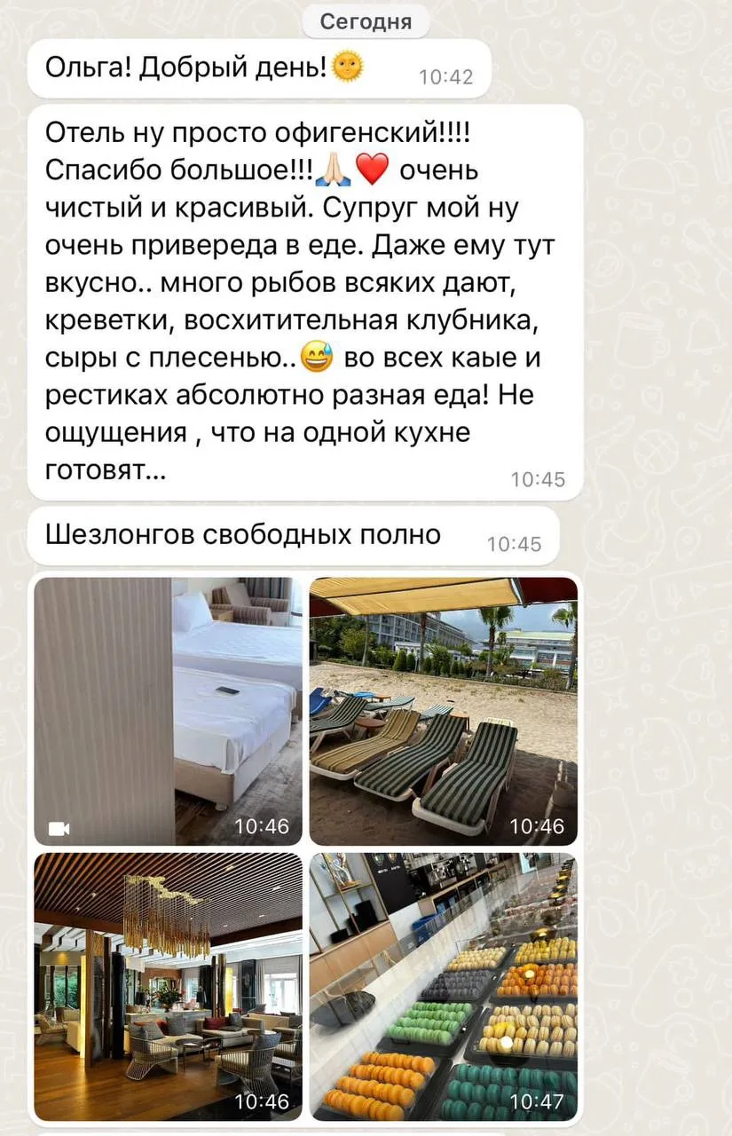 Отдых среди 700 пальм и сосен 😍