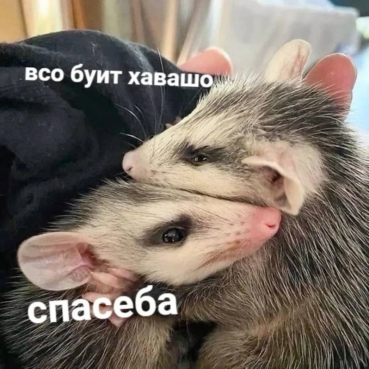 Ребятки, знаю, что у многих сейчас сложный период. Навалилось всё и сразу: подготовка к экзаменам, с