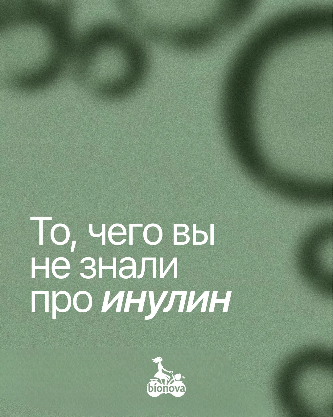 Инулин — натуральное пищевое волокно из корня цикория, которое помогает делать продукты полезнее, ле