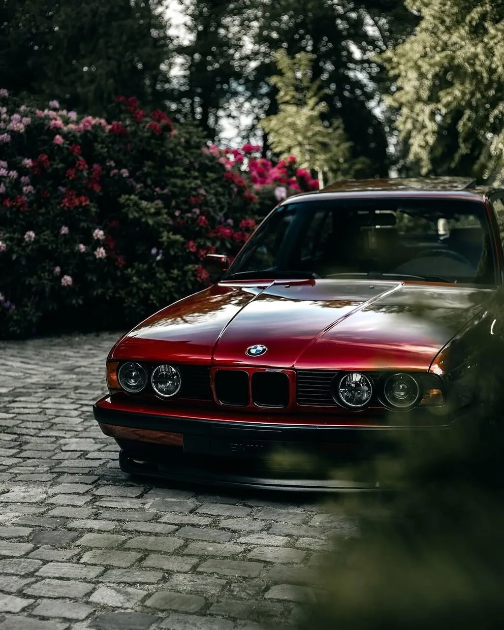 #бмв #cars #bmw #car #car