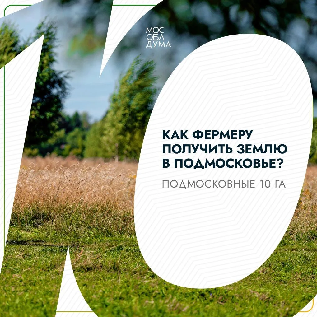 Свыше 1,3 тысячи га земли получили фермеры в рамках программы «Подмосковные 10 га»