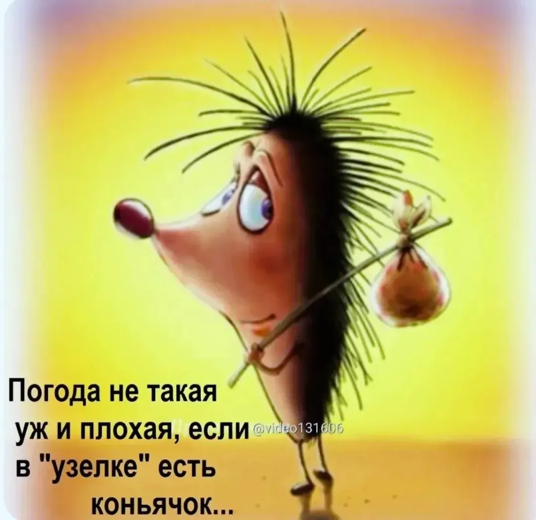 💐ЖИВАЯ СКАЗКА 💐