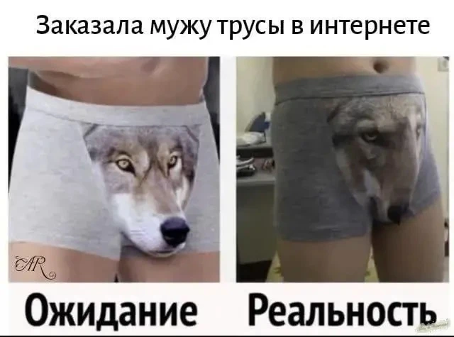 Изображение 1 к публикации «Юмор без границ 😄»